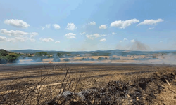 Çanakkale'de tarım arazinden yangın çıktı