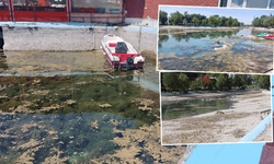 DSİ izinsiz boşaltılan Sakaryabaşı için hukuki süreç başlattı