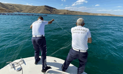 Elazığ'da jandarmadan kaçak av operasyonu: Kilolarca balık ele geçirildi