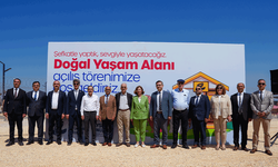 Eskişehir Büyükşehir Belediyesi’nden sokak hayvanlarına yeni yaşam alanı