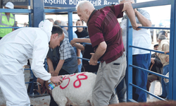 Eskişehir büyükşehir Hayvan Pazarı’nda kurban kesim hizmetine yoğun ilgi