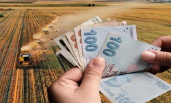 Eskişehir’de 3.869 çiftçiye 95 milyon TL destek ödemesi başladı