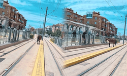Eskişehir’de tramvay yolunda başıboş at dikkat çekti