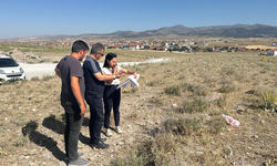Hayvan pazarı için adımlar atılıyor