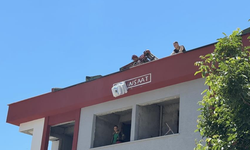 İstanbul'da elektrik akımına kapılan işçi inşaattan düştü