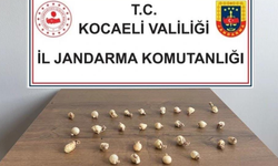 Kocaeli'de rahatsızlanınca midesinde kapsül kapsül zehirli madde çıktı