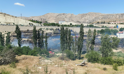 Malatya’da ot yangını