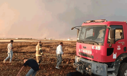 Mardin'de ekili buğday tarlasında yangın çıktı