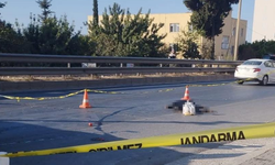 Mersin'de otomobilin çarptığı yaşlı adam hayatını kaybetti