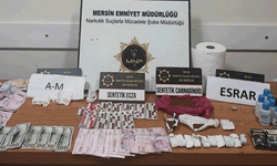 Mersin'de yasaklı madde operasyonu: 35 tutuklama