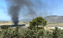 Muğla'da balık üretim tesisinde yangın