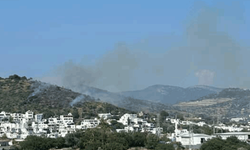 Muğla'da makilik alanda yangın çıktı