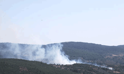 Muğla'da tarım arazinden başlayan yangın ormanlık alana sıçradı