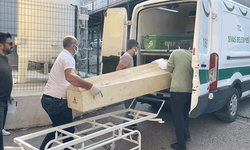 Sivas'ta keneden ölenlerin sayısı her geçen gün artıyor