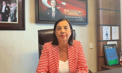 Süllü: “İklim yasası değil, doğa katliamının hukuki kılıfı”