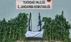 Tekirdağ'da jandarmadan zehirli madde ve silah operasyonu
