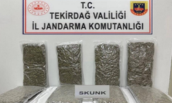 Tekirdağ'da otoyol gişelerinde 12 kilogram skunk ele geçirildi
