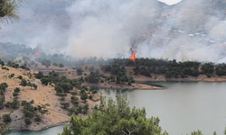 Adıyaman’da ormanlık alanda yangın
