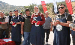 Afyon’da kenelere karşı doğal mücadele başladı