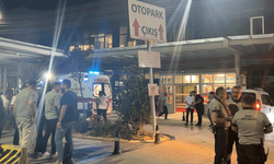 Afyon'da orman yangınına müdahale sırasında yaralanan 5 görevli taburcu edildi