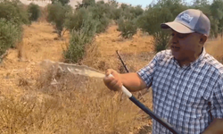 Antalya'da yangın nedeniyle vatandaşlar hortumla nöbette