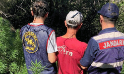Aydın'da yasaklı madde operasyonu: 14 şüpheli yakalandı