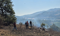 Balıkesir'de arazi ve anız yangını söndürüldü