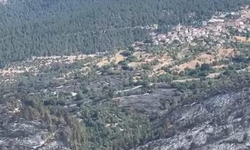 Balıkesir'de  yangınında soğutma çalışmaları başladı