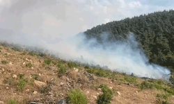 Bilecik’te yangın alarmı: 15 gün arayla aynı noktada ikinci yangın