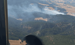 Bolu'da korkutan yangın