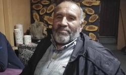 Bolu'da ormanda kestiği ağaç üzerine devrilen orman işçisi hayatını kaybetti