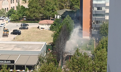 Bursa'da şehrin merkezindeki alevler korku yaşattı