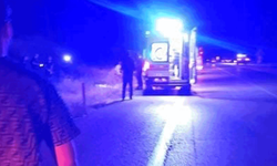 Elazığ’da feci kaza: Dede ve torun hayatını kaybetti