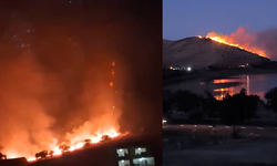 Elazığ'daki örtü yangını söndürüldü