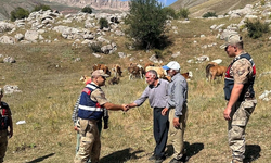 Erzincan'da kayıp hayvanları jandarma buldu