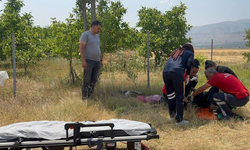 Erzincan'da şarampole uçan otomobilin sürücüsü yaralandı