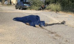 Eskişehir’de kaza: Motosiklet ikiye katlandı, 1 ölü