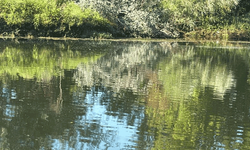 Eskişehir’de nehre giren iki çocuk kayboldu