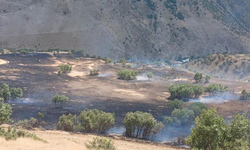 Hakkari’de anız yangını