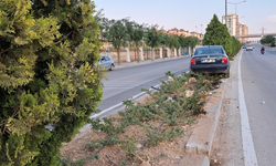 Karaman'da kontrolden çıkan otomobil refüje çıktı