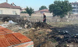 Konya'da bahçe içerisinde ağaç yangını