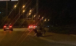 Konya'da yol kenarında 3 gencin tekme tokat kavga etti