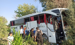 Konya’da yolcu otobüsü yoldan çıkarak ağaçlara çarptı