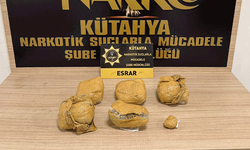 Kütahya’da zehire geçit yok: 2 şüpheli tutuklandı