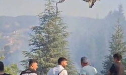 Malatya'daki orman yangınına beton pompasıyla destek