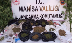 Manisa’da jandarmadan zehirli madde operasyonu