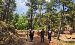 Mersin jandarmasından ormanlara sıkı koruma