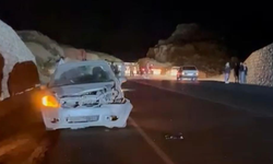 Mersin'de otomobil domuza çarptı