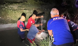Osmaniye'de sulama kanalına uçan otomobilde 1 kişi boğuldu