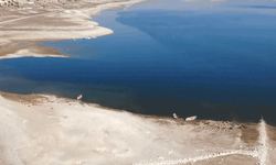 Porsuk Çayı’nda balık ölümleri iddiası: Kütahya Tarım Müdürlüğü harekete geçti
